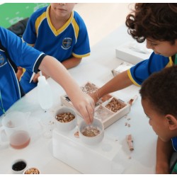 Science Show: Would You Rather?